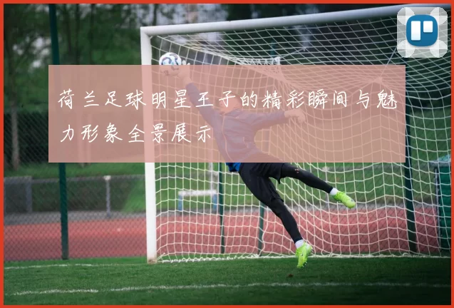 荷兰足球明星王子的精彩瞬间与魅力形象全景展示